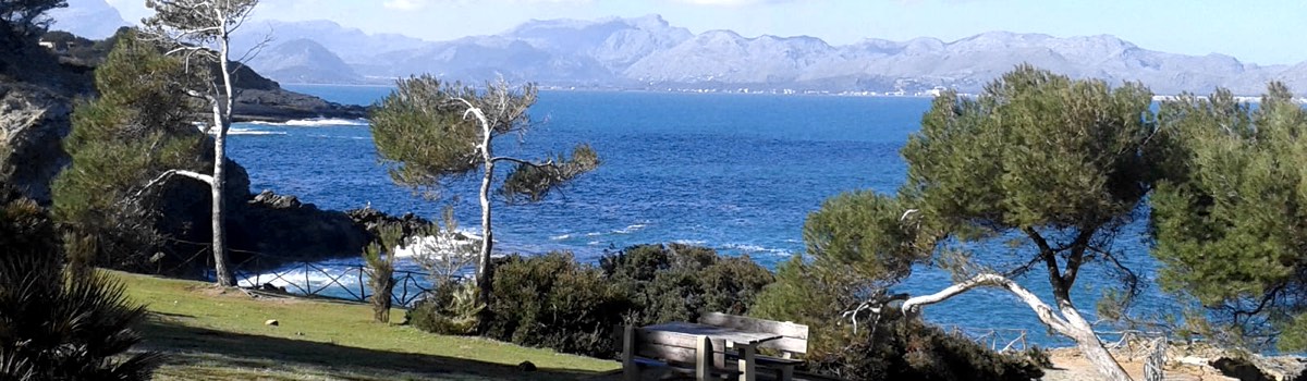 Venda su propiedad en Mallorca